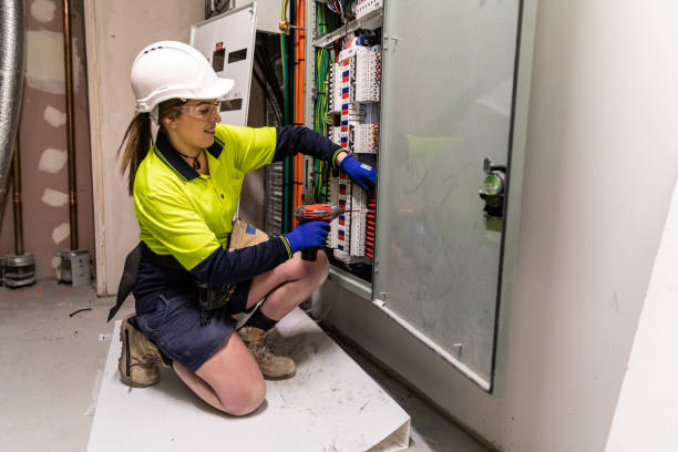 Best Electric Panel Repair  in Sangaree, SC