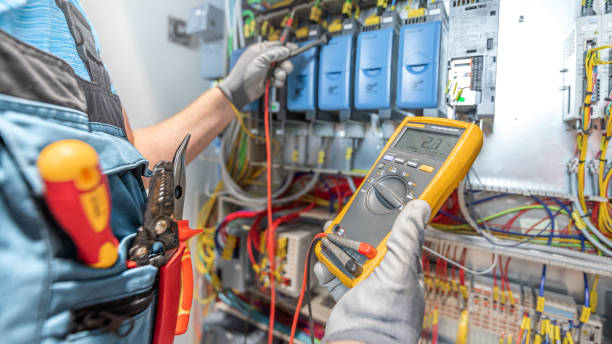 Best Electric Panel Repair  in Sangaree, SC